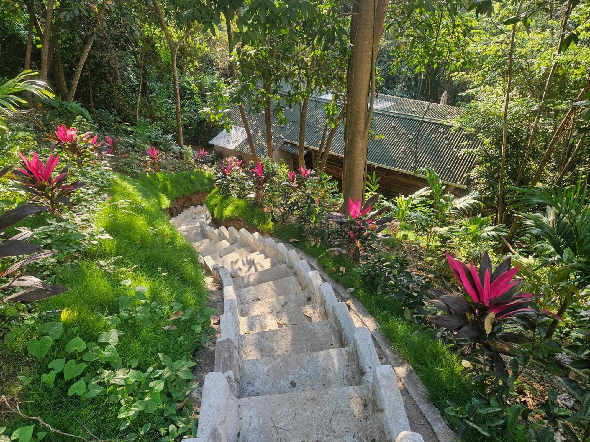 La Casa Del Mono Vila Minca Exterior foto